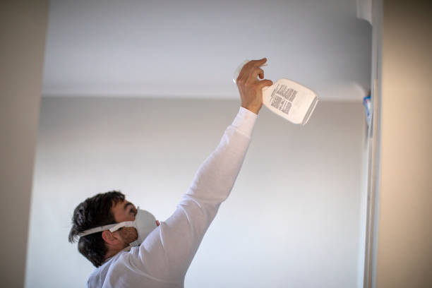 Best Mold Testing and Inspection Services in Quincy, FL
